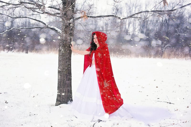 Fairy Tale Storyteller